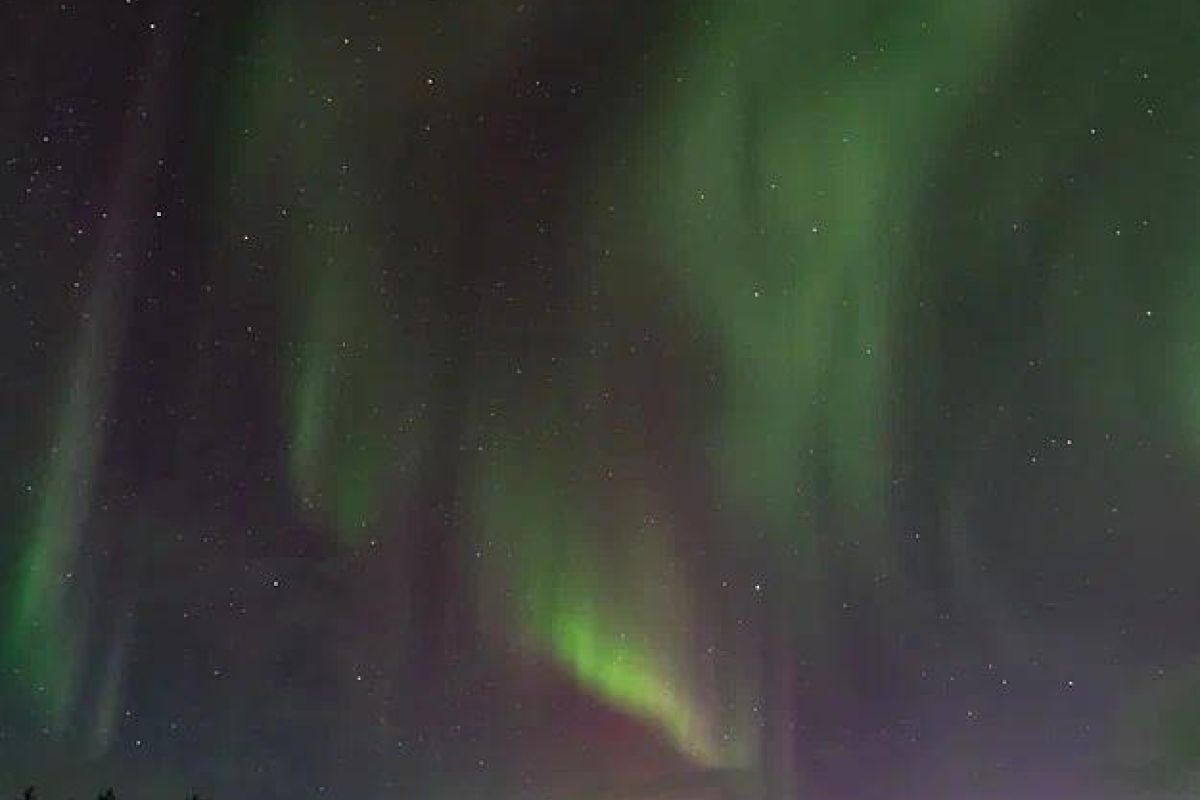 Ешь, лови, кайфуй (новогодний)