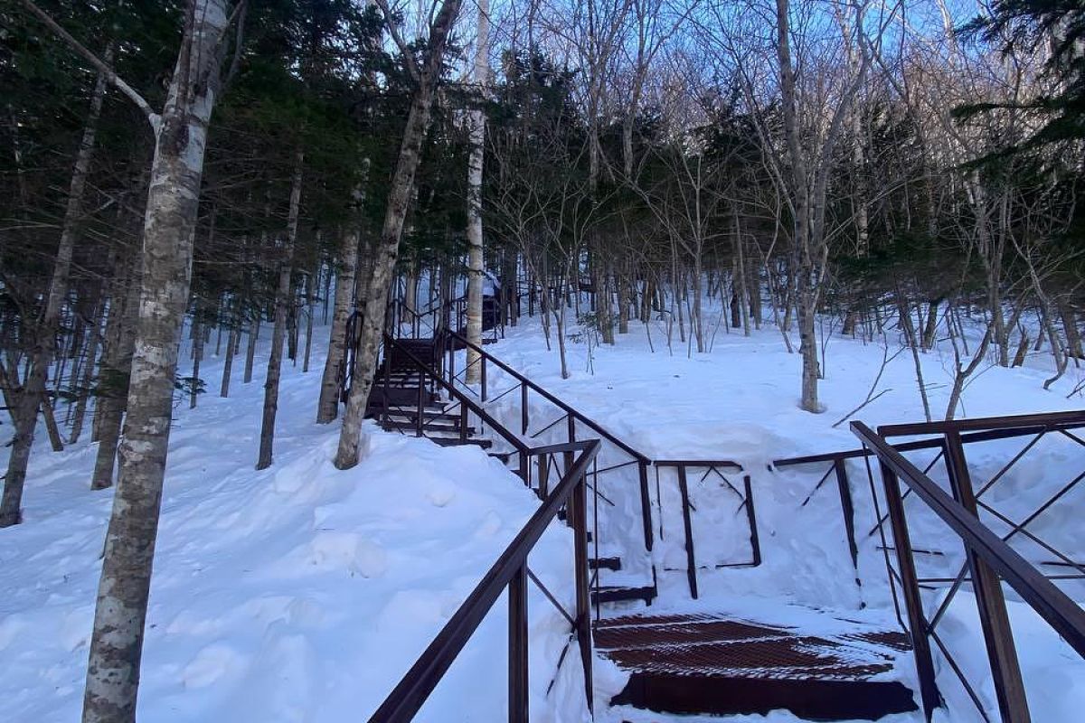 Индивидуальная экскурсия "гора Лягушка и Охотское море"