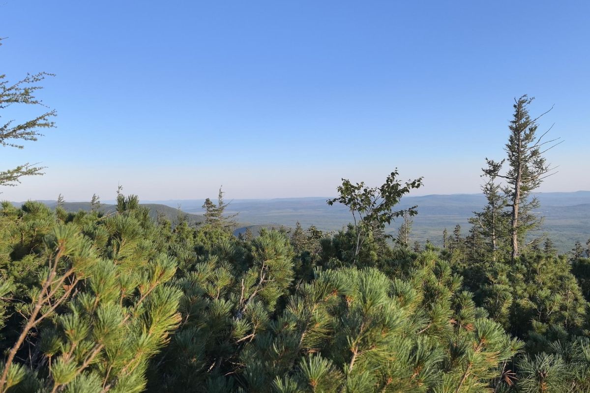 Горные купола Тукурингры