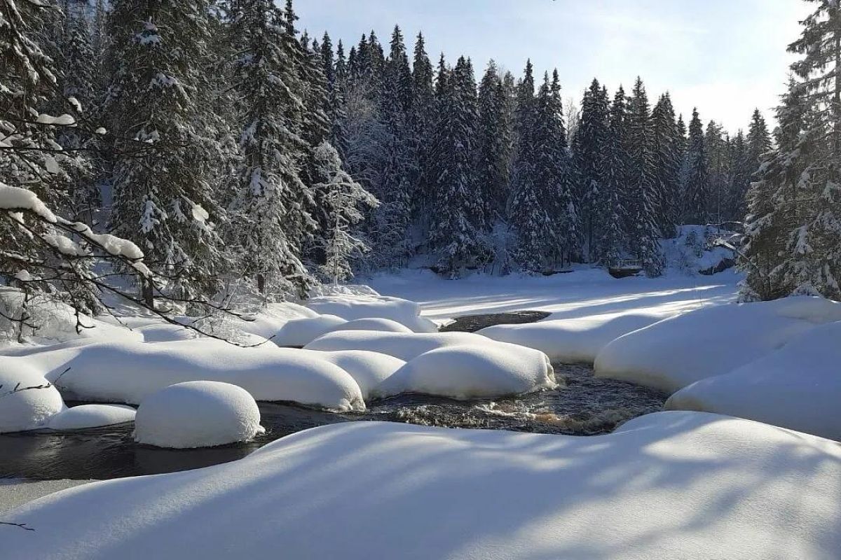 Лыжный тур по Карелии (Спасская Губа, 4 дня)