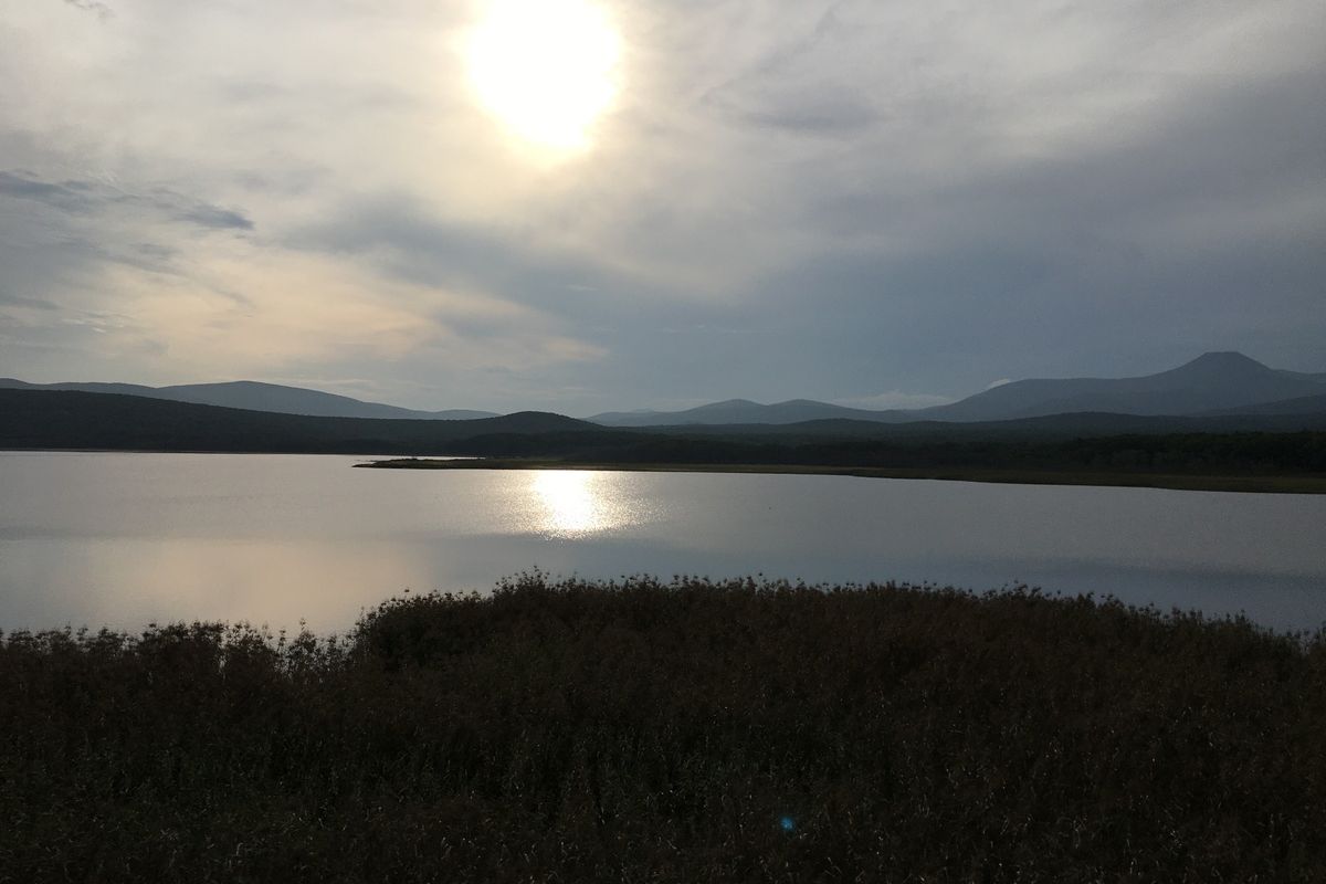 Сихотэ-Алинский заповедник: по следам амурского тигра!