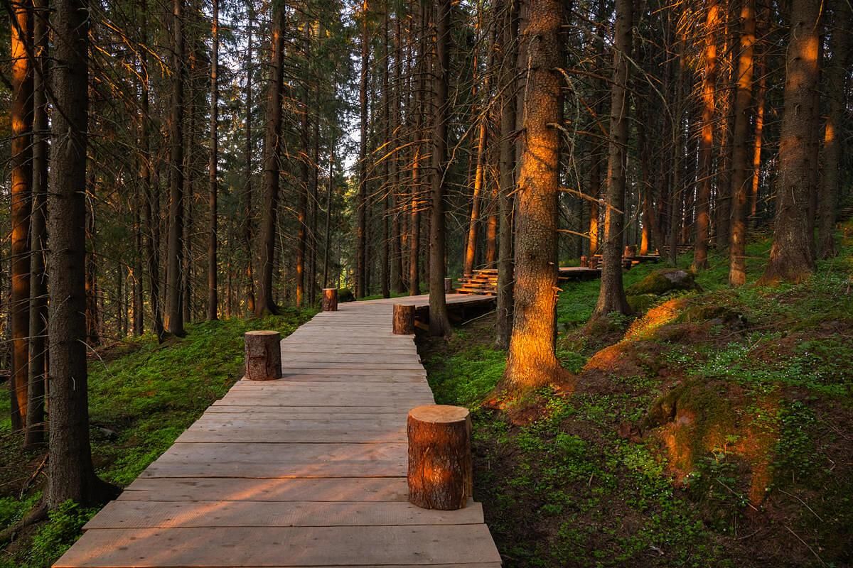 Фототур на Ладожские шхеры. Вдохновение и созерцание.