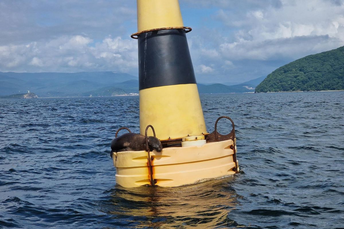 ЧУДЕСА ПРИМОРСКОГО КРАЯ