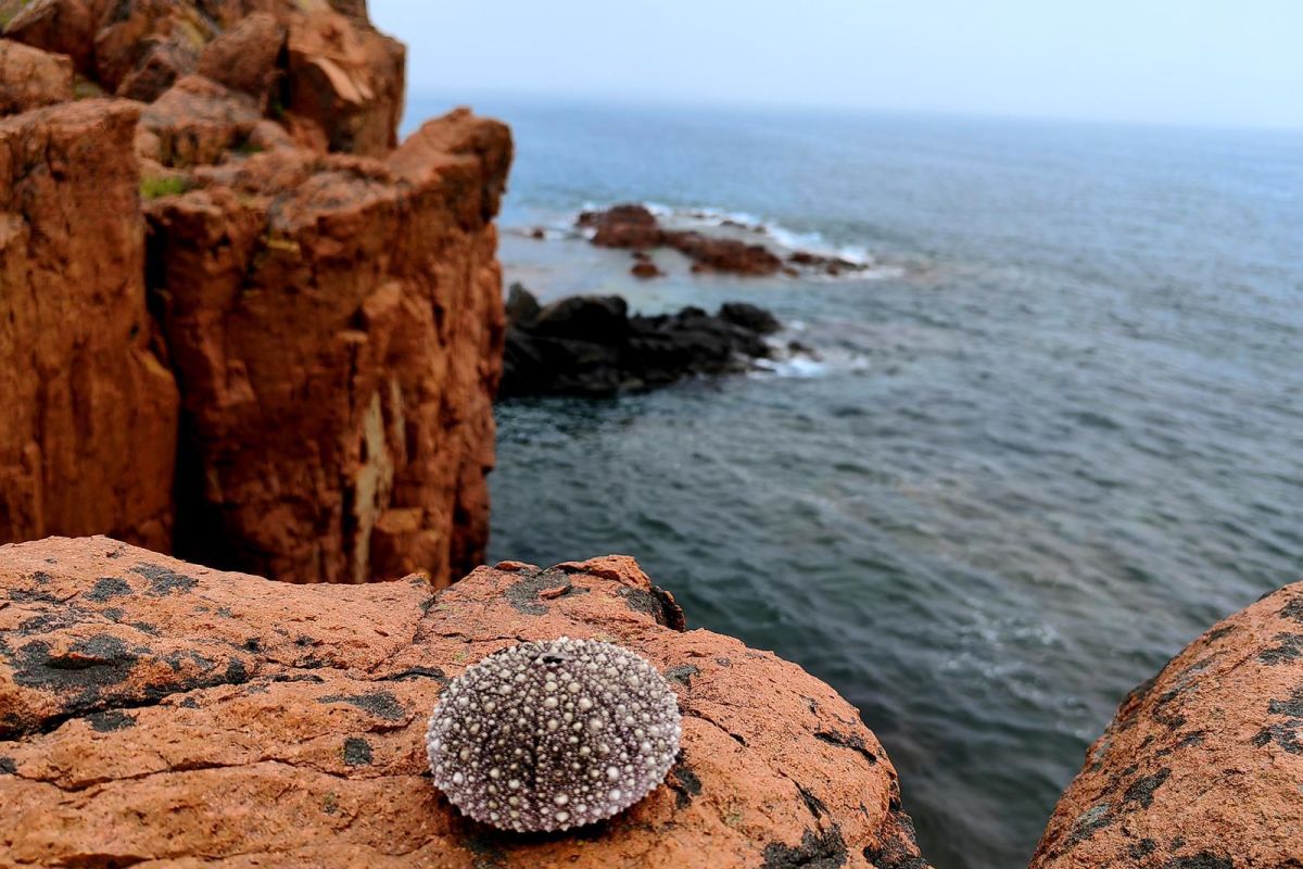 Открой Владивосток