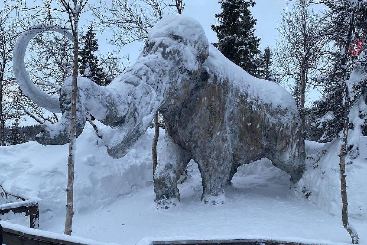 Экскурсия Кировск – Хибины