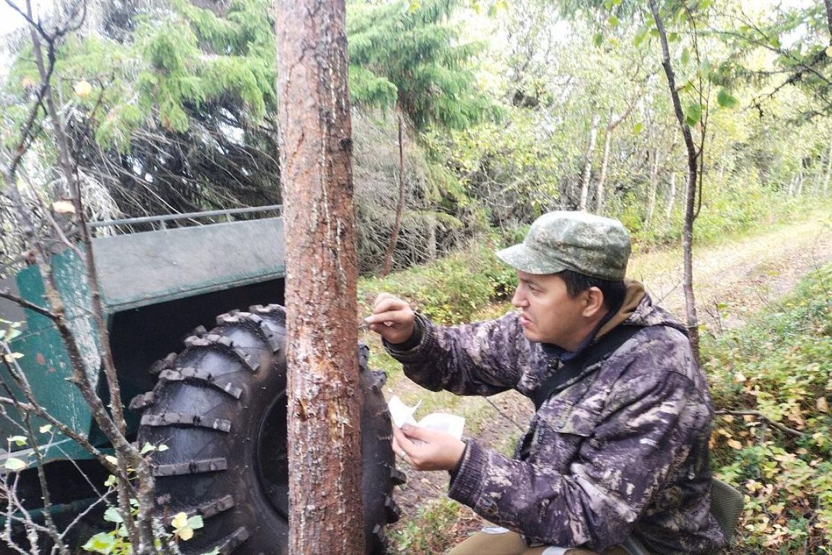 Научный круиз по онежскому поморью – путешествие с учёным