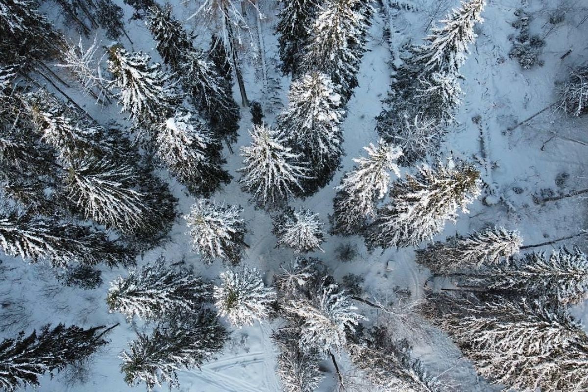 Тур «Новогодие на Лекшмозере»