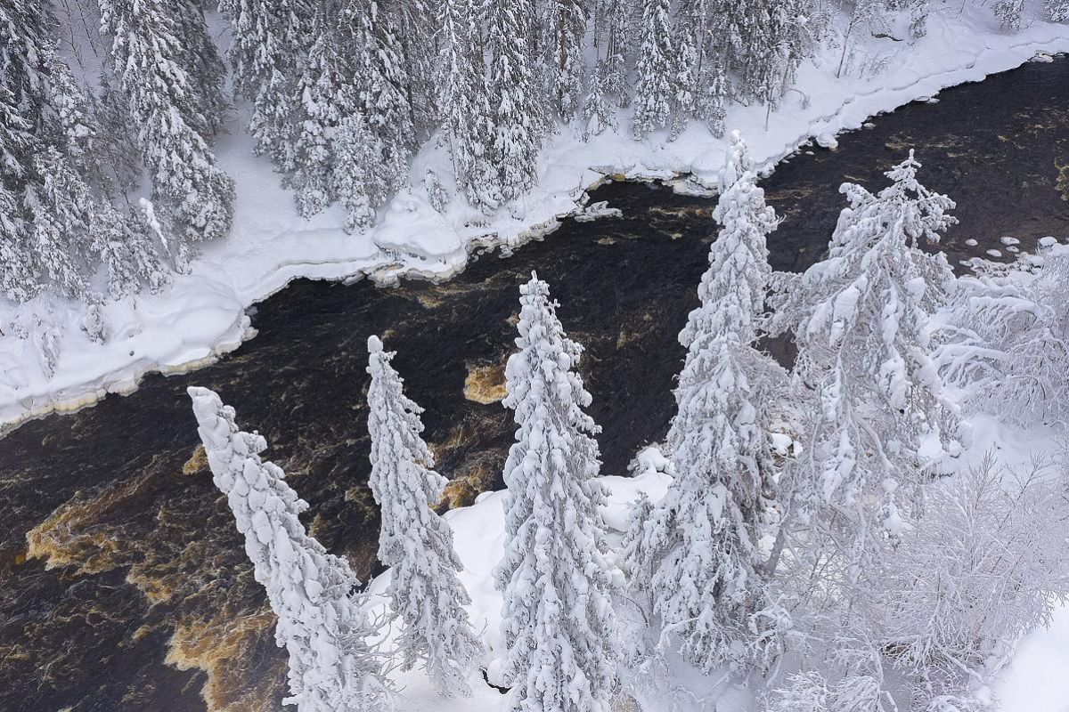 Времена года. Зимняя Карелия с фотографом