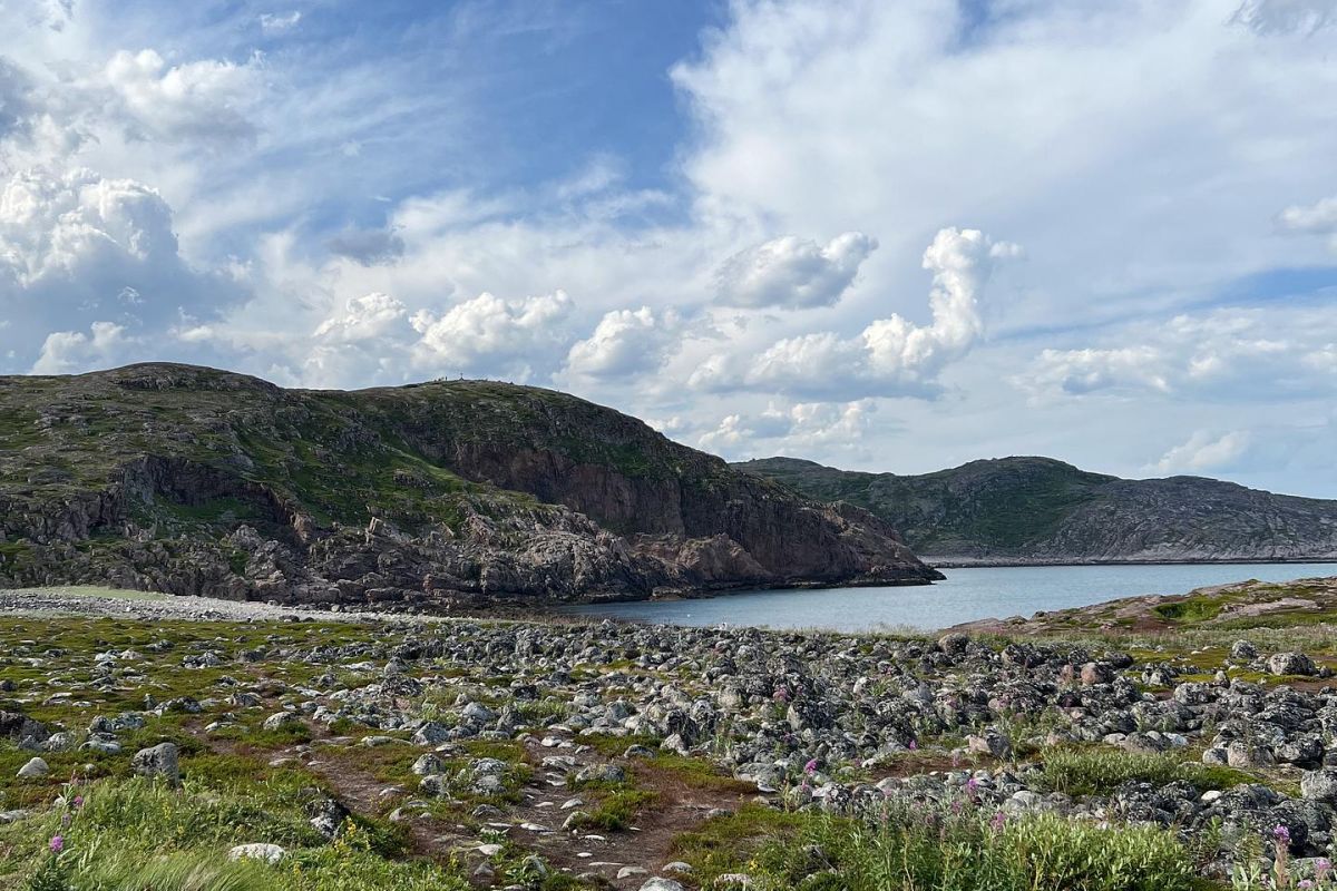 Край стихий: Киты. Океан. Горы. Водопады