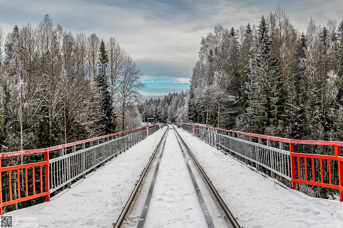 Времена года. Зимняя Карелия с фотографом