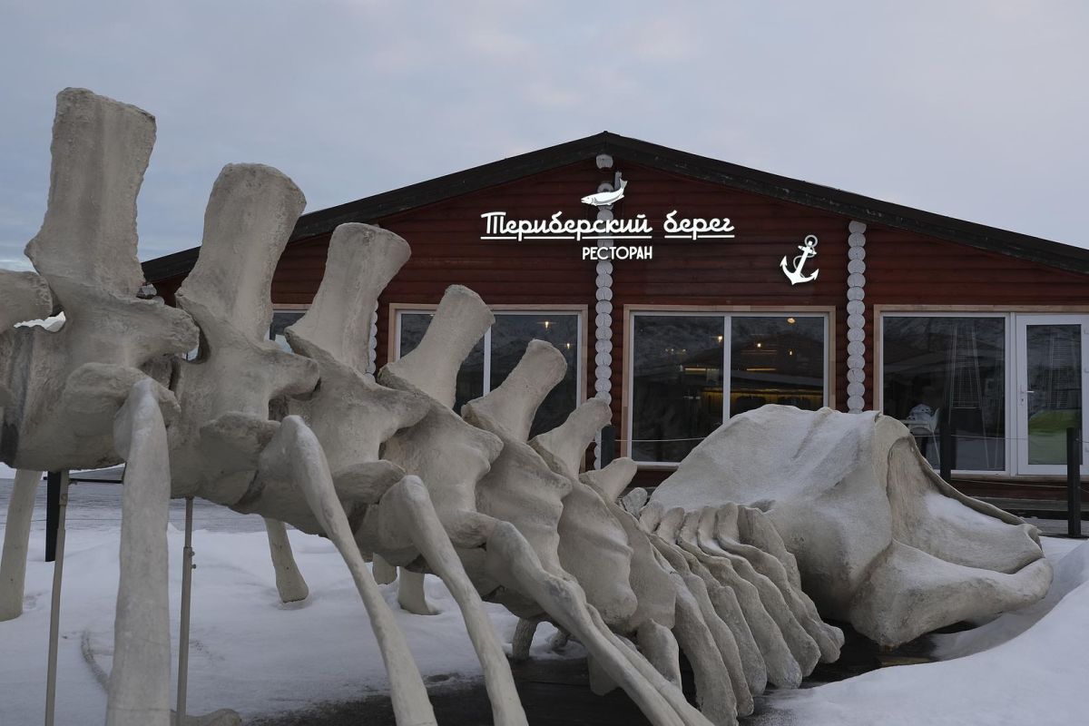 Териберка - наедине с суровой красотой (новогодняя)