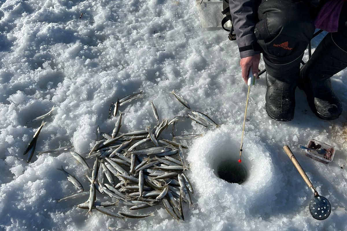 Подлёдная рыбалка на Сахалине