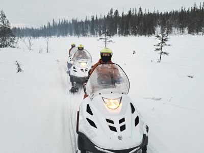 Сафари на квадроциклах (Лапландская деревня, 2 часа)
