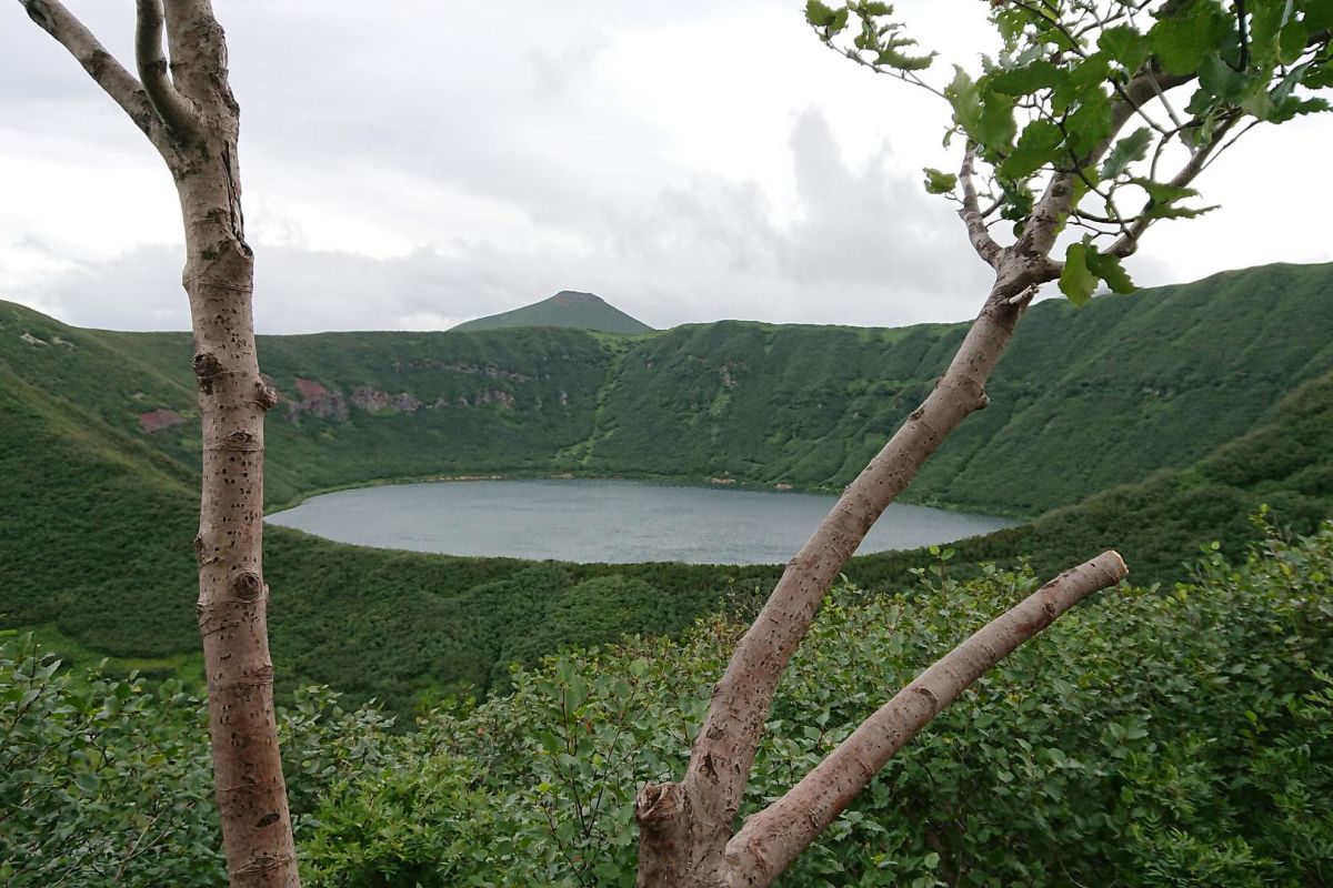 Открой для себя Камчатку