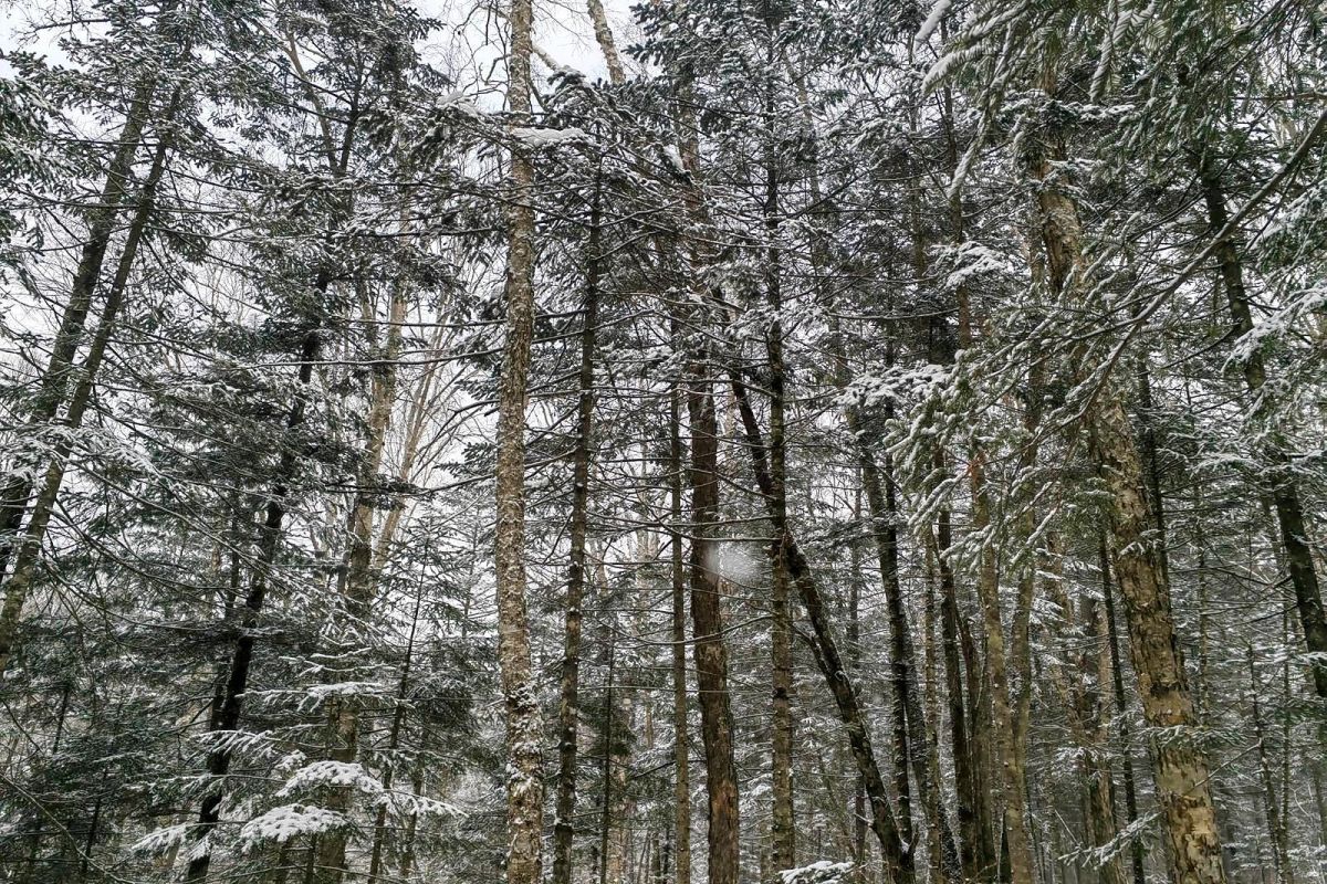Водопад Горбатый