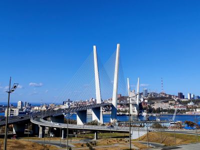 Тигры. Устрицы. Мосты. Владивосток