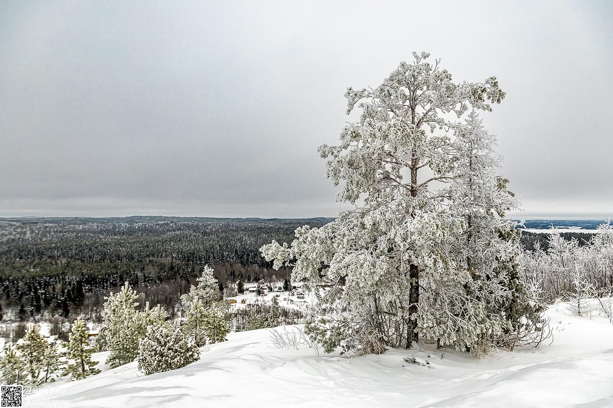 Времена года. Зимняя Карелия с фотографом