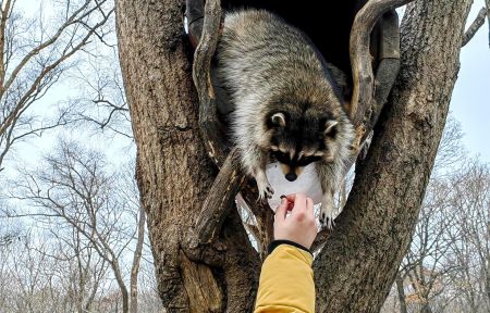 Экскурсия в Сафари-парк