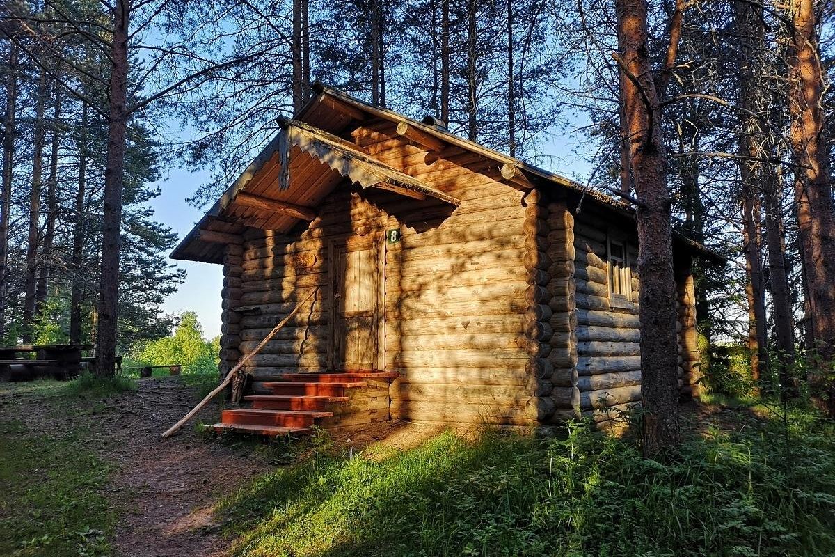 Тур для школьников «Выходные в лесной избушке»