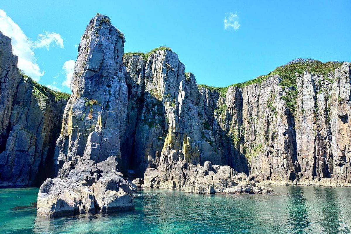 Земля леопарда + Японское море