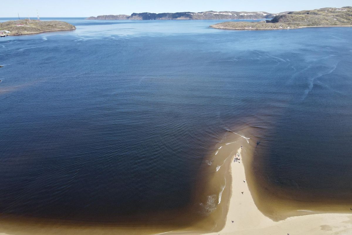 Край стихий: Киты. Океан. Горы. Водопады