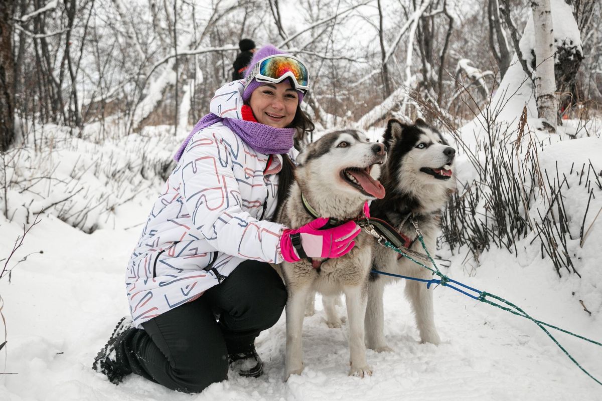 Экскурсия с катание на собачьих упряжках и горячим источником – Камчатка