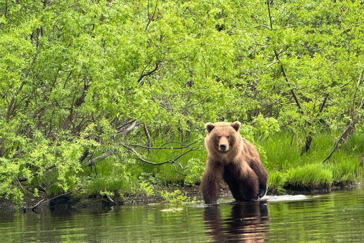 Краски сентября на Камчатке