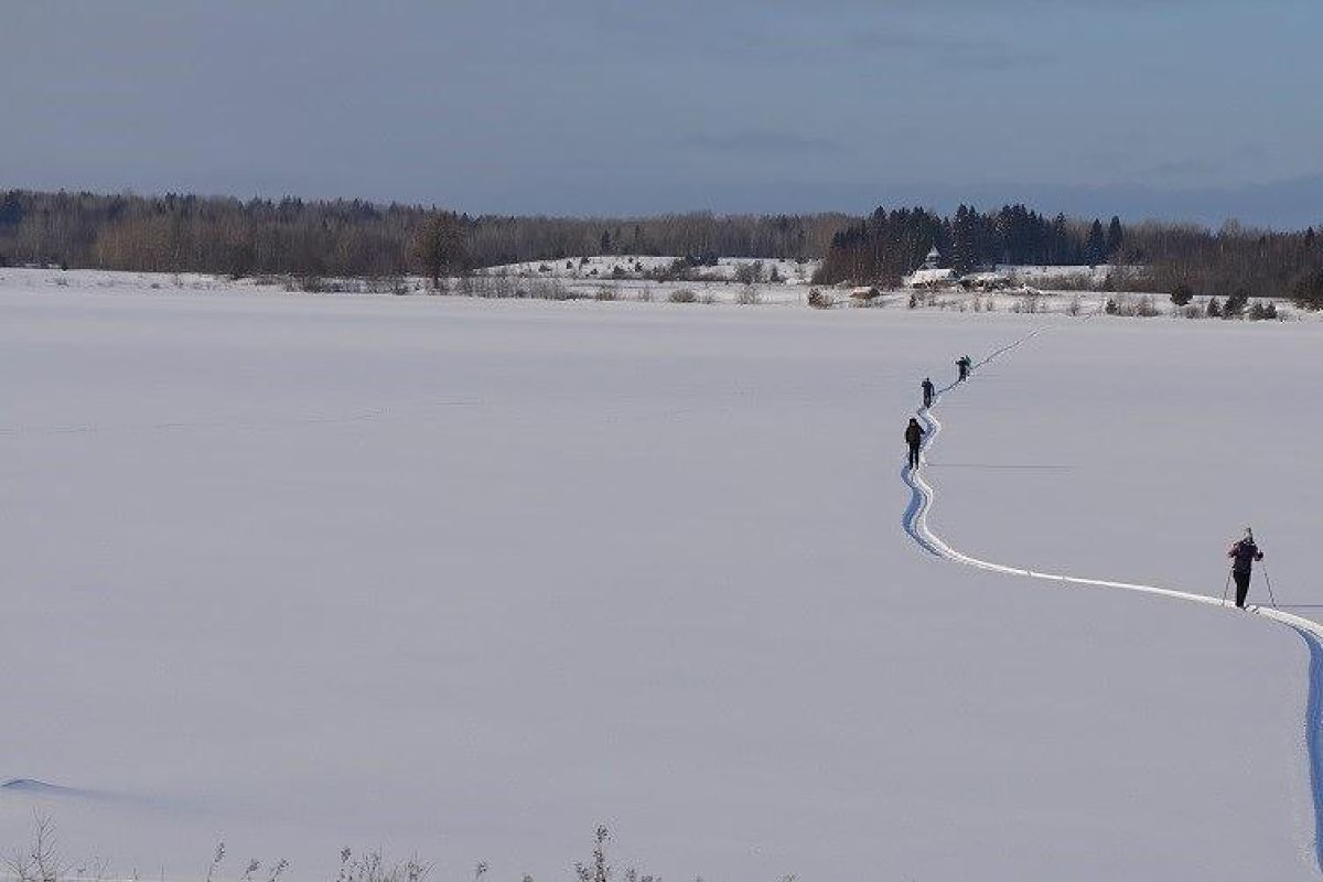 Лыжный тур по Карелии (Спасская Губа, 4 дня)