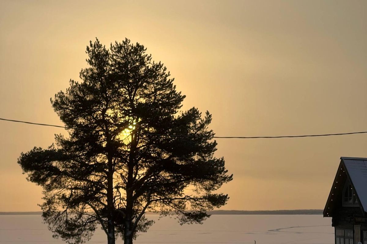 Выходные в Каргополье