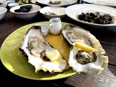 Тигры. Устрицы. Мосты. Владивосток