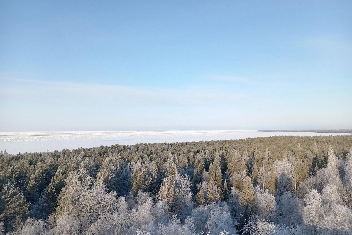 Заповедные берега Беломорья (снегоходный тур)