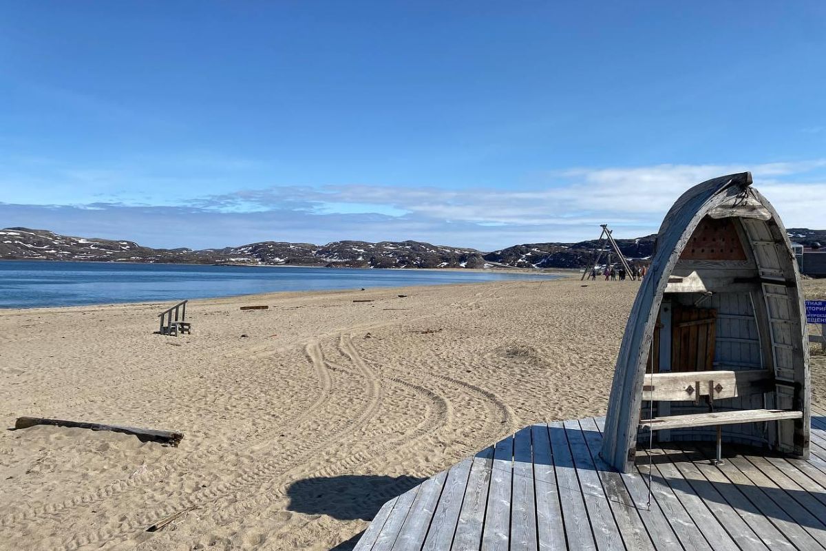 Териберка пешая