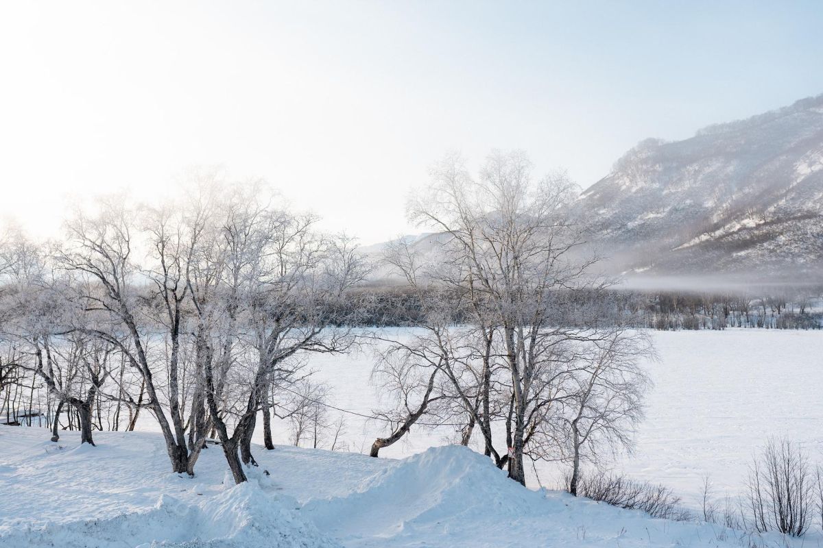 Новогодние приключения на Камчатке с банкетом (7 дней / 6 ночей)