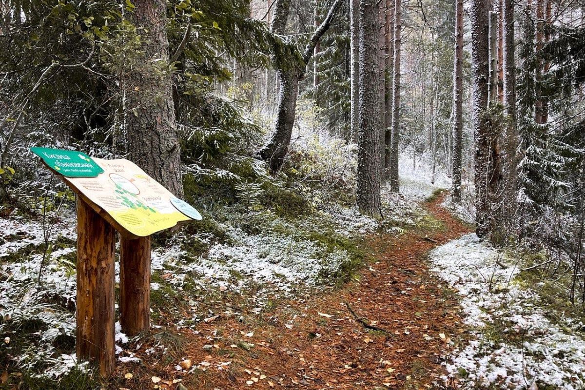 Банный тур в Кенозерье "Северная баня"