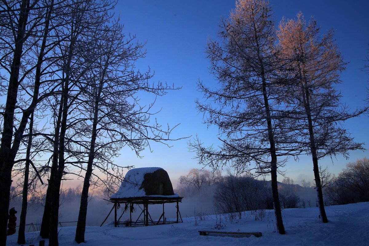 Экскурсия в питомник ездовых собак, катание на упряжках на Камчатке