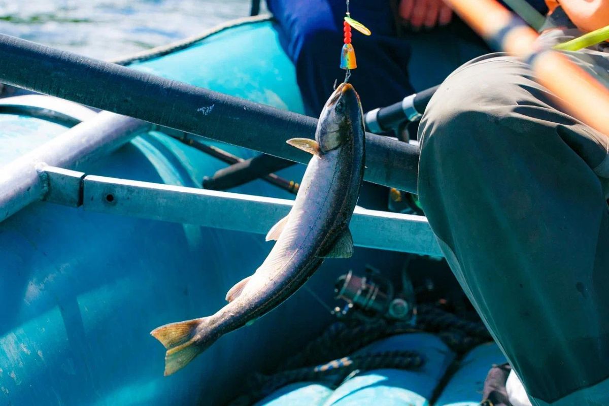 Сплав по реке Быстрая и купание в Малках (Камчатка, экскурсия)