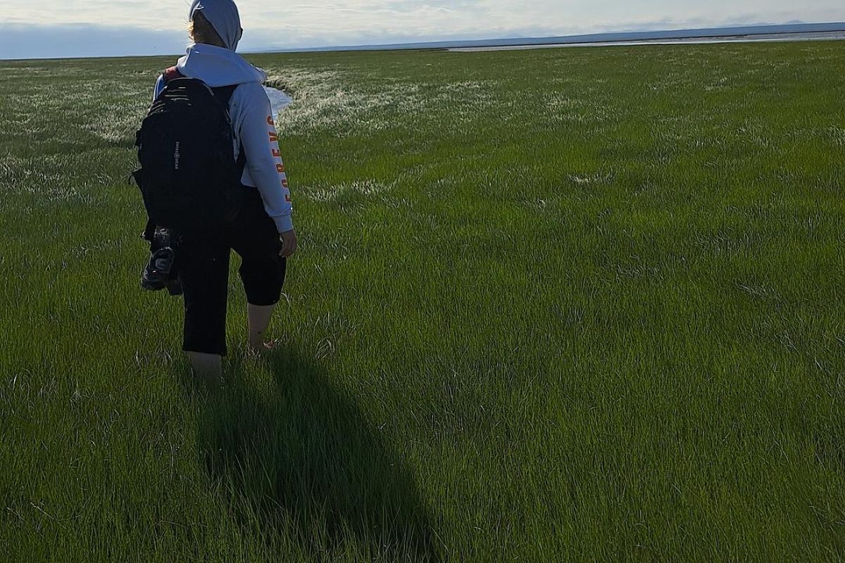 Ретрит на Карском море