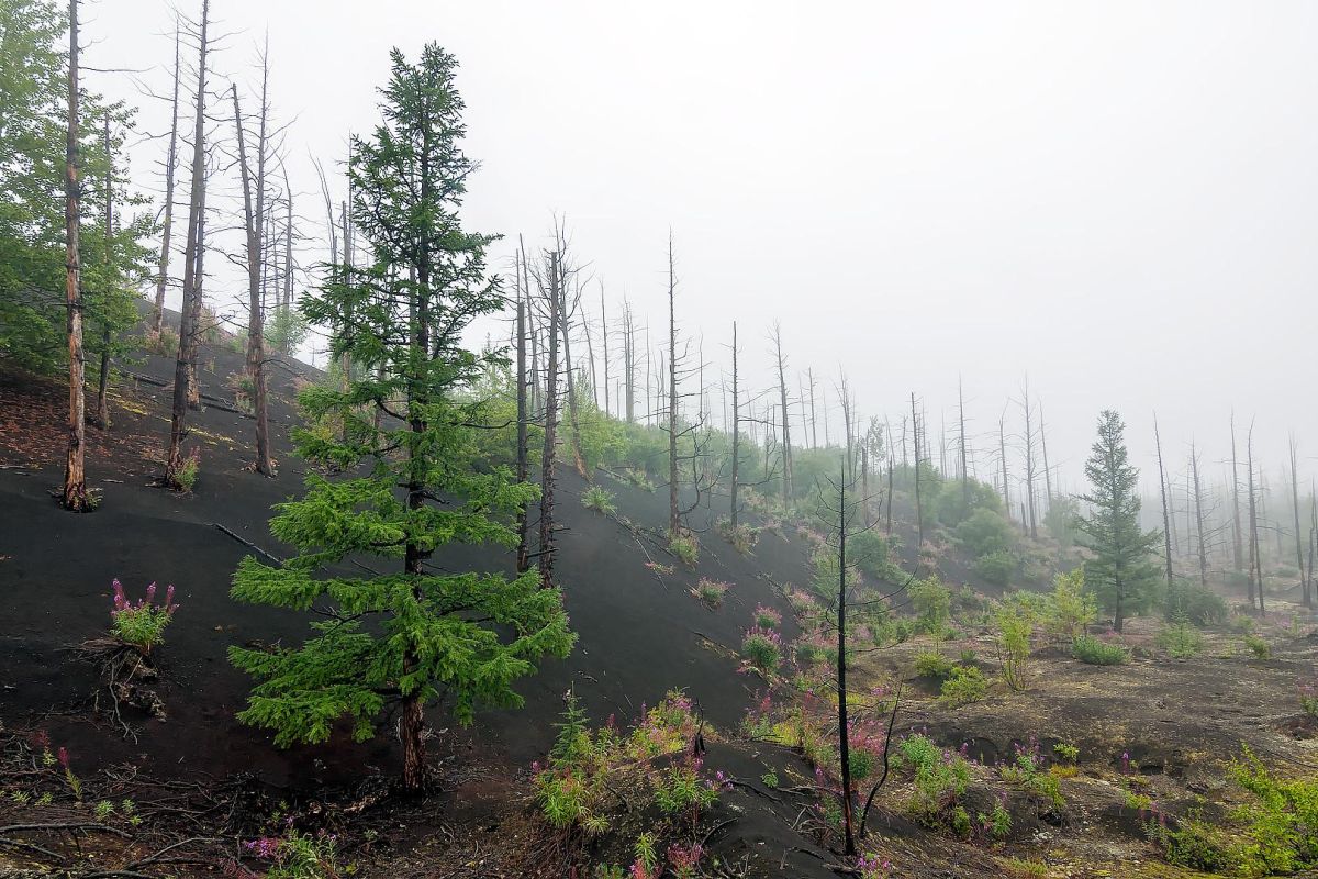 Толбачик. По следам извержения + Сплав