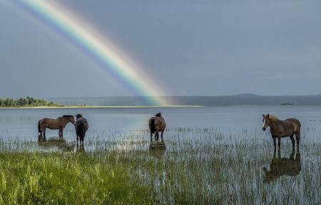 В край былинный, сказочный (Кенозерье)