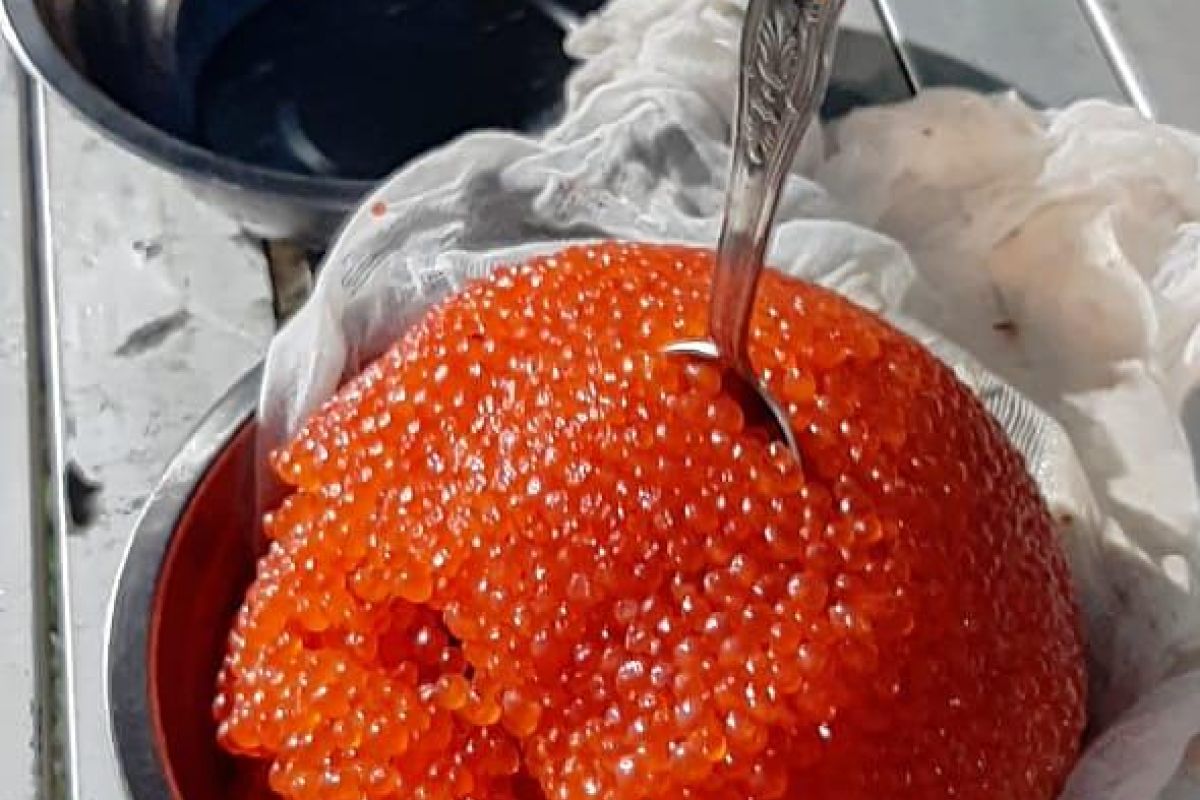 Река Быстрая (Малкинская), сплав 1 день