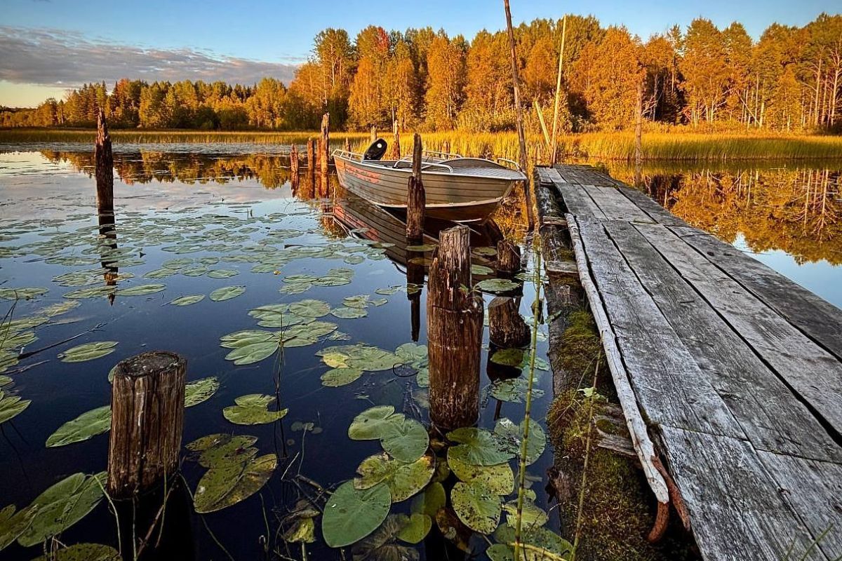 Тур для школьников «Творческие выходные в Кенозерье»