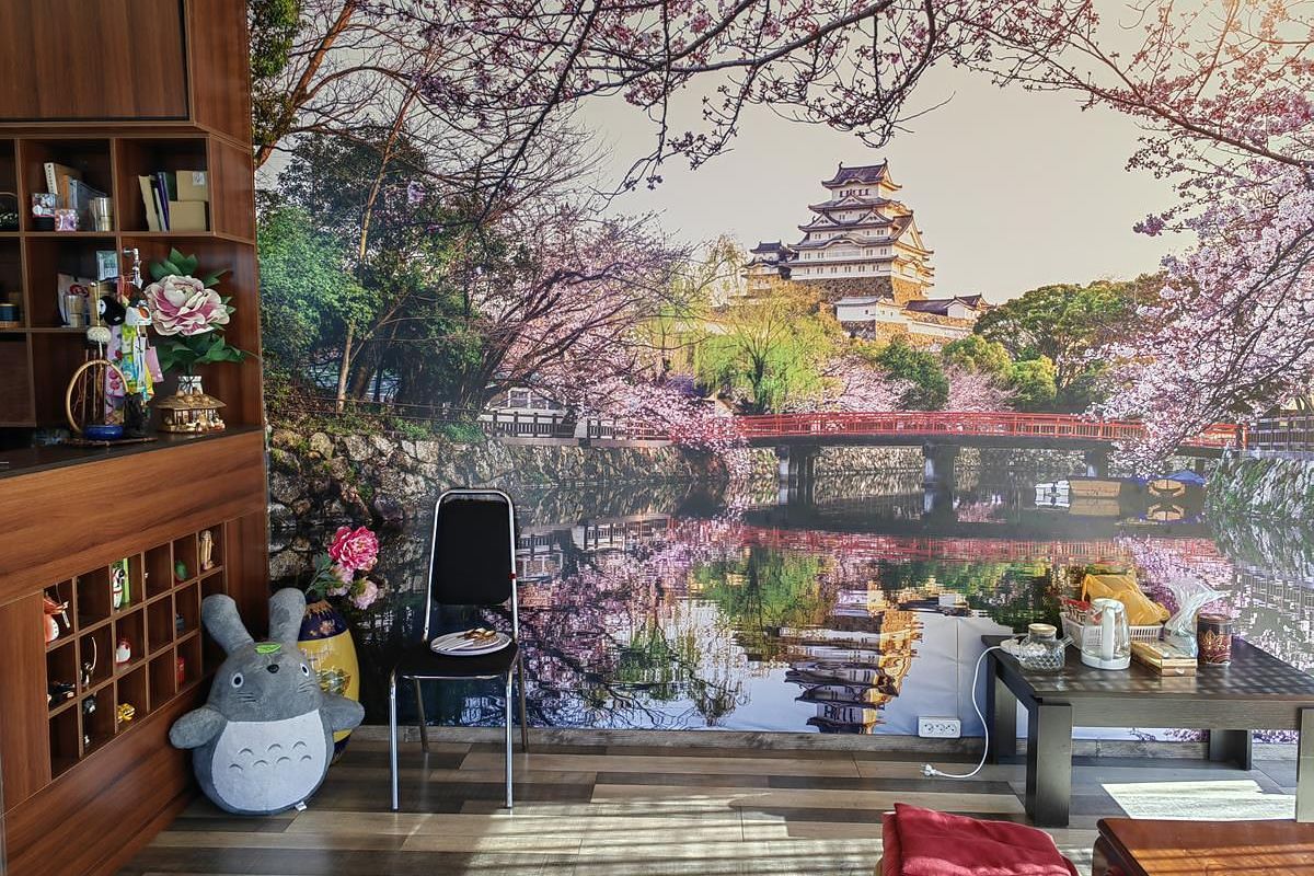 Владивосток и Находка: 7 дней у моря