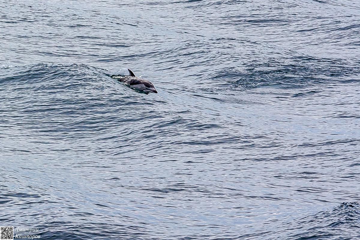 Кунашир и Малая Курильская гряда. Путешествие на другую планету