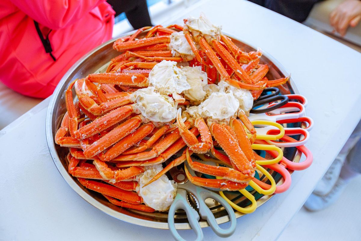 Морская прогулка к бухте Русской (Камчатка)