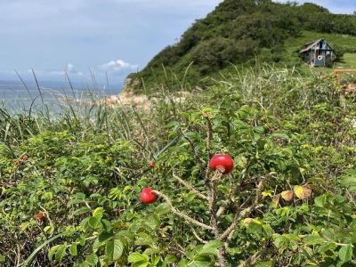 Симфония островов и горизонтов