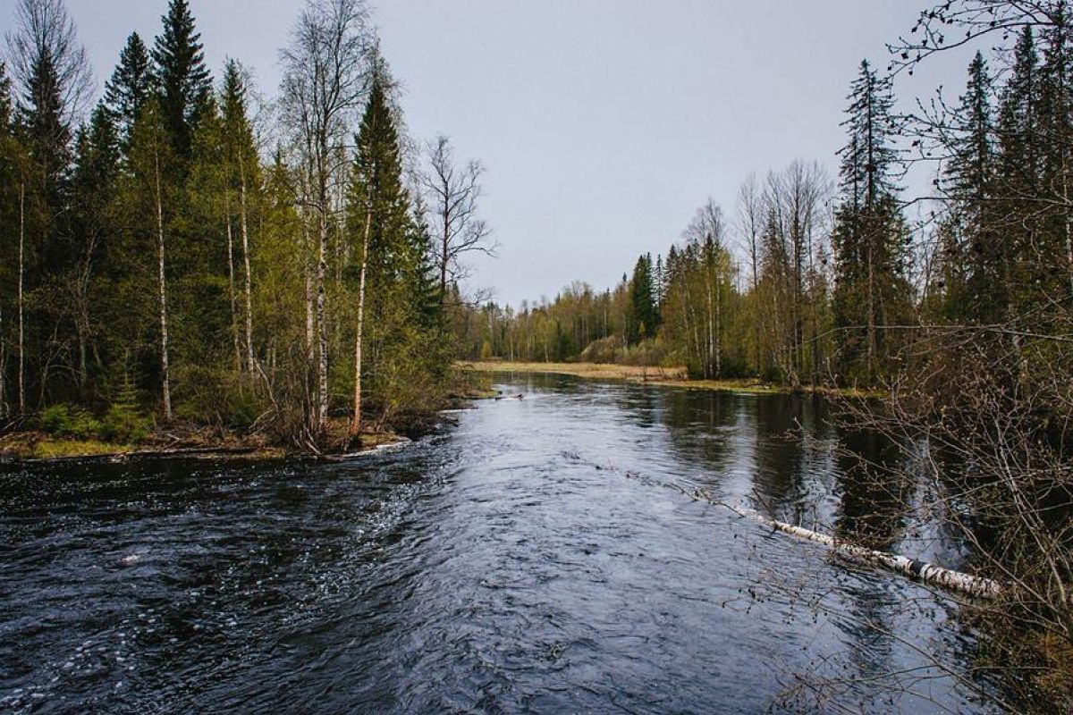 По озерам Карелии на квадроциклах