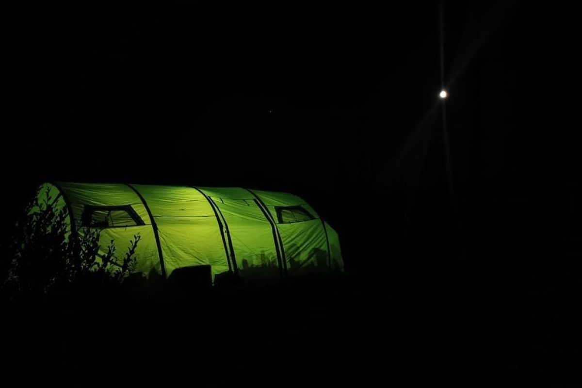 Толбачик. По следам извержения