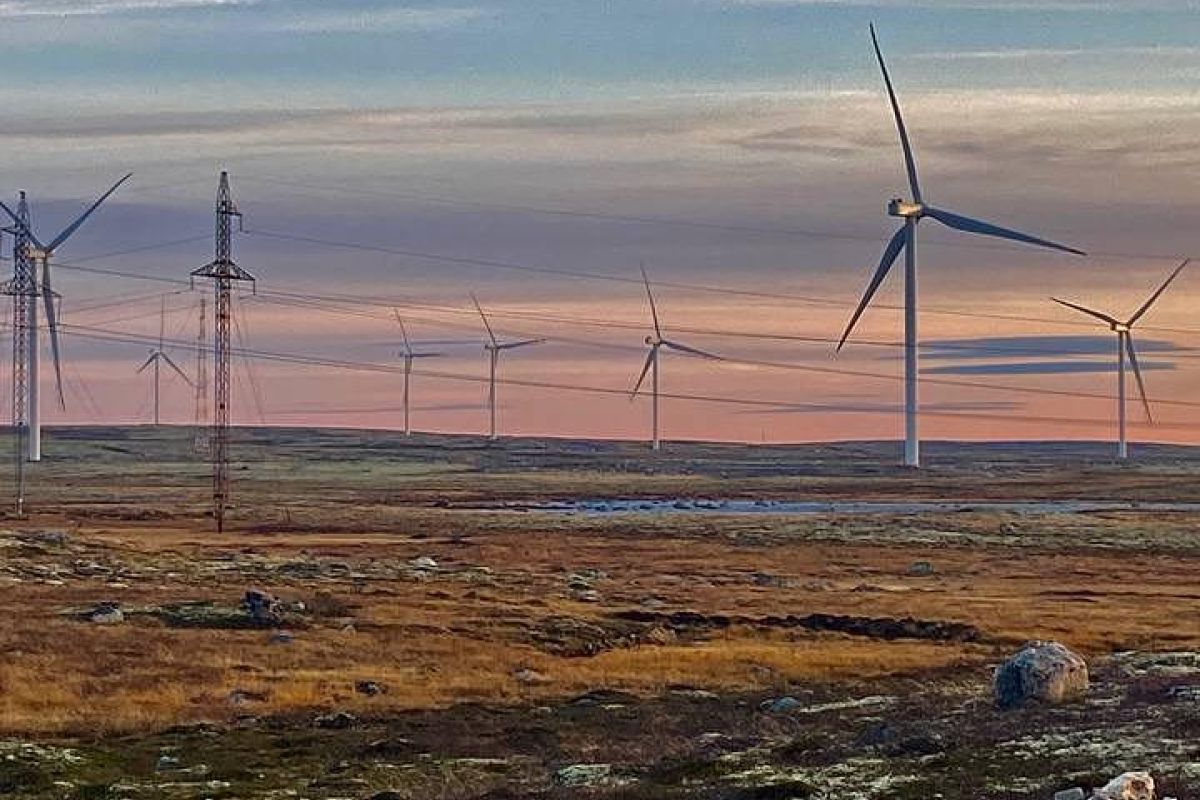 Красоты севера – летний Кольский