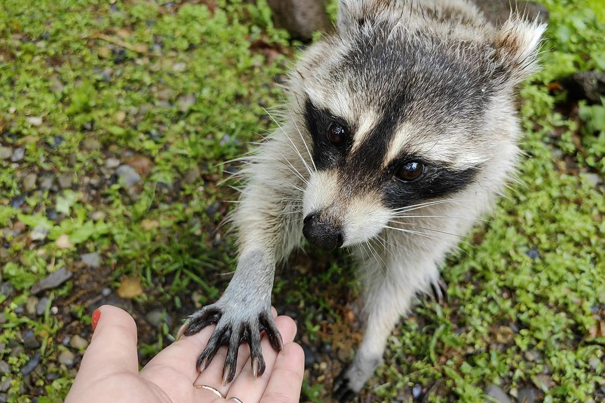 Приморье и Сахалин в одном туре