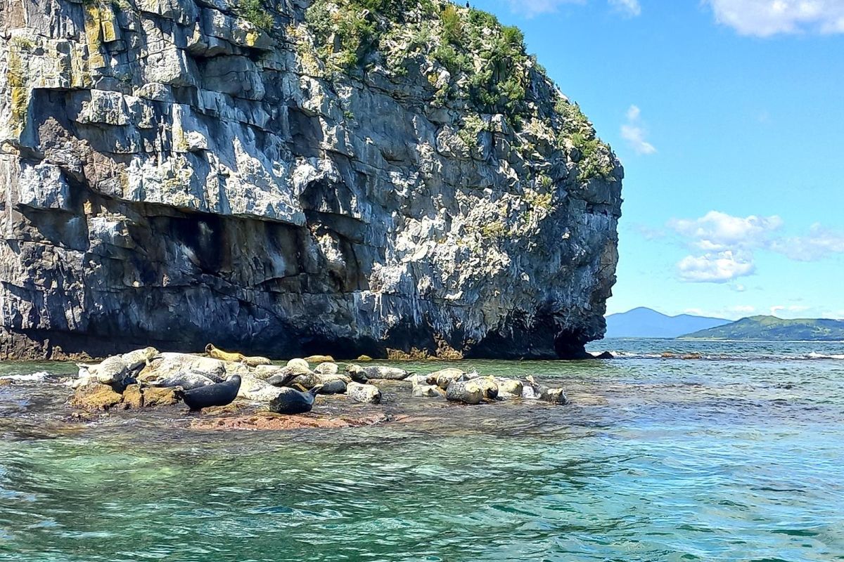 Дыхание весны в Приморье